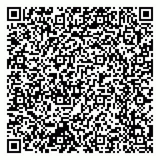 vCard 79397715285
