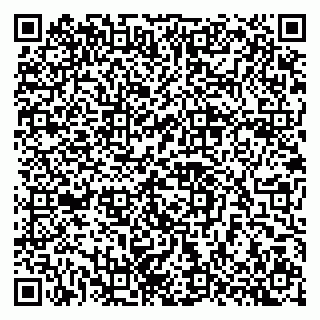 vCard 79397715289
