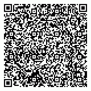 vCard 79397715293