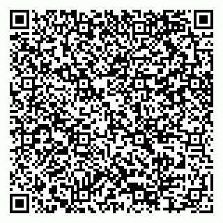 vCard 79397715294
