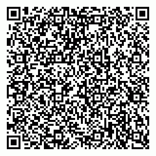 vCard 79397715295