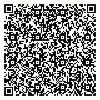 vCard 79397715300