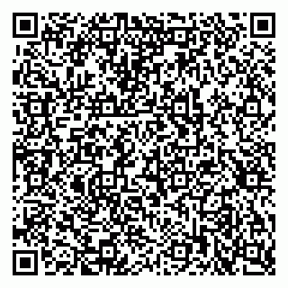 vCard 79397715303