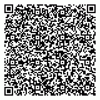 vCard 79397715331