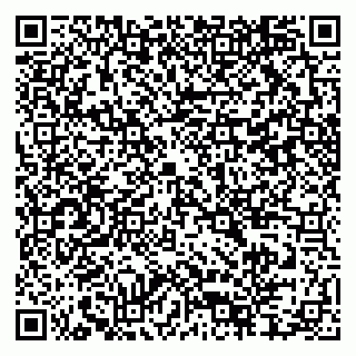 vCard 79397715381