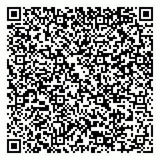 vCard 79397715389
