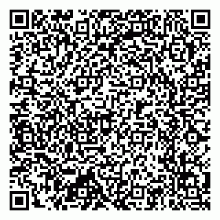 vCard 79397715603