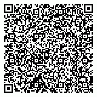 vCard 79397715811