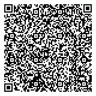 vCard 79397715837