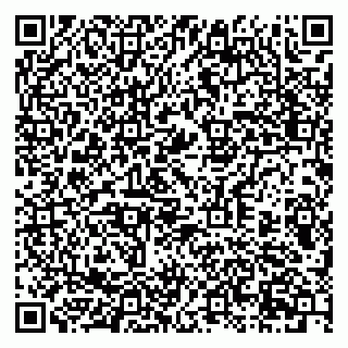 vCard 79397715871