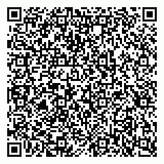 vCard 79397715873