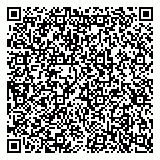 vCard 79397715874