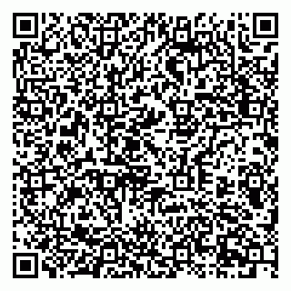 vCard 79397715875