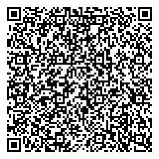 vCard 79397715931