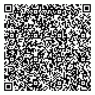 vCard 79397716031