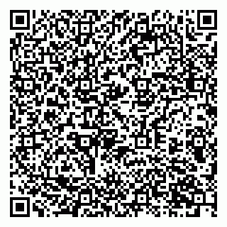 vCard 79397716538
