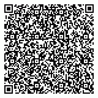 vCard 79397716631