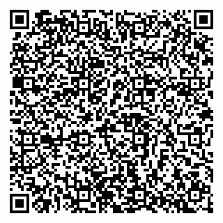 vCard 79397717199