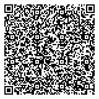 vCard 79397717295