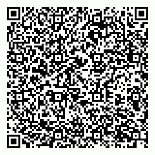 vCard 79397717299