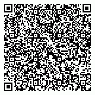 vCard 79397717300