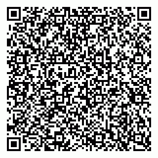 vCard 79397717321