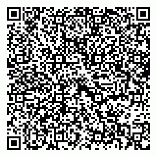 vCard 79397717329