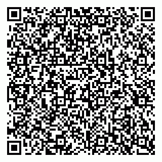 vCard 79397717333