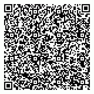 vCard 79397717370