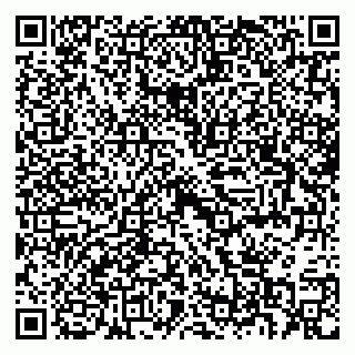 vCard 79397717381