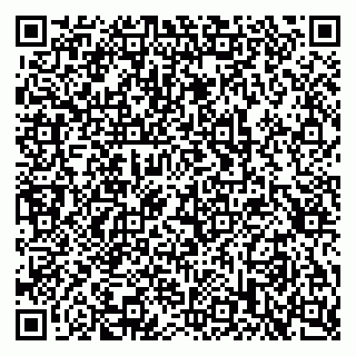vCard 79397717382