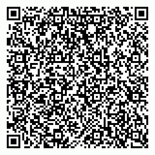 vCard 79397717704