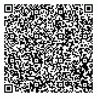 vCard 79397717939