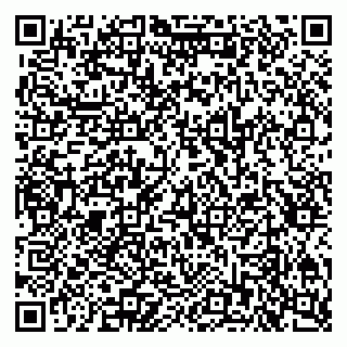 vCard 79397766131