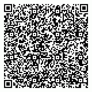 vCard 79397766331
