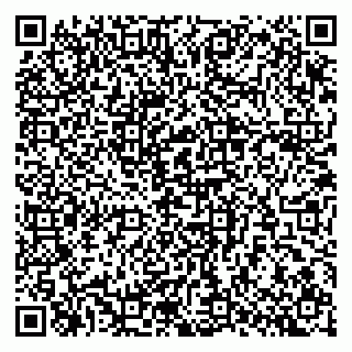 vCard 79397766381
