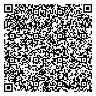 vCard 79397800271