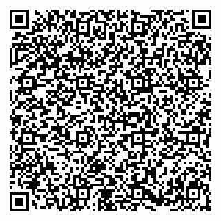 vCard 79397800272