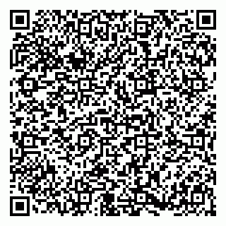 vCard 79397800319