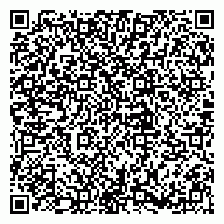 vCard 79397923131