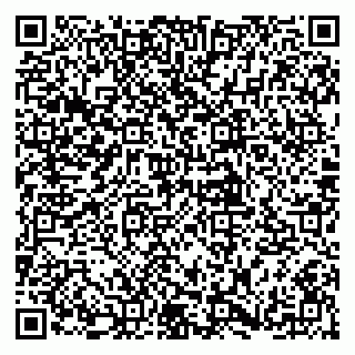 vCard 79397923295