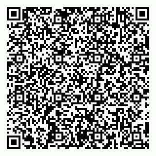 vCard 79398880313