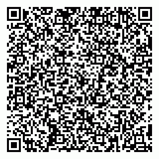 vCard 79398880331