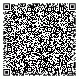 vCard 79399004033