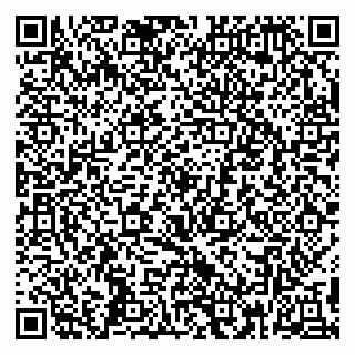 vCard 79399004078