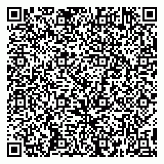 vCard 79399004093