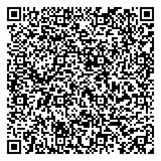 vCard 79399004130