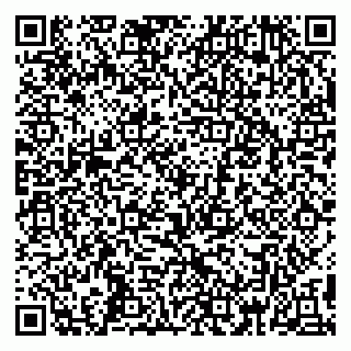 vCard 79399004161