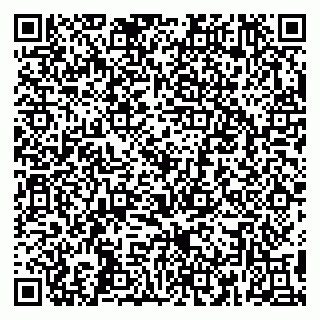 vCard 79399004217
