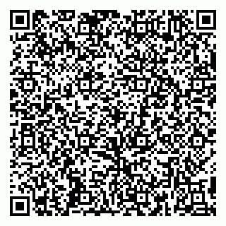 vCard 79399005017